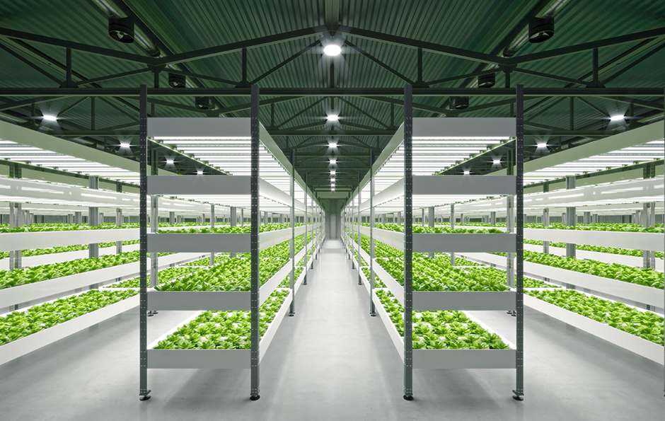 旋乐吧spin8·(中国集团)官方网站